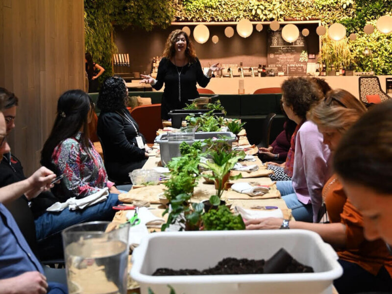 A woman is teaching a class full of people how to make terrariums
